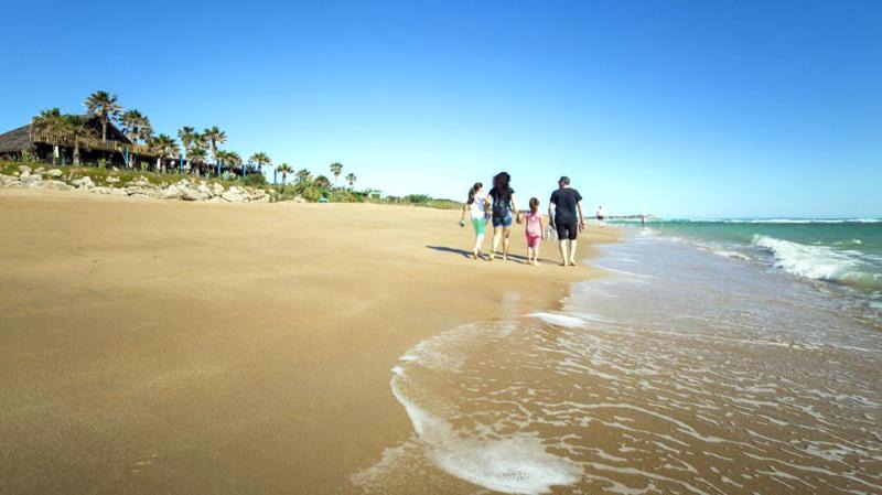Photo of Others in Brena y Marismas de Barbate Natural Park