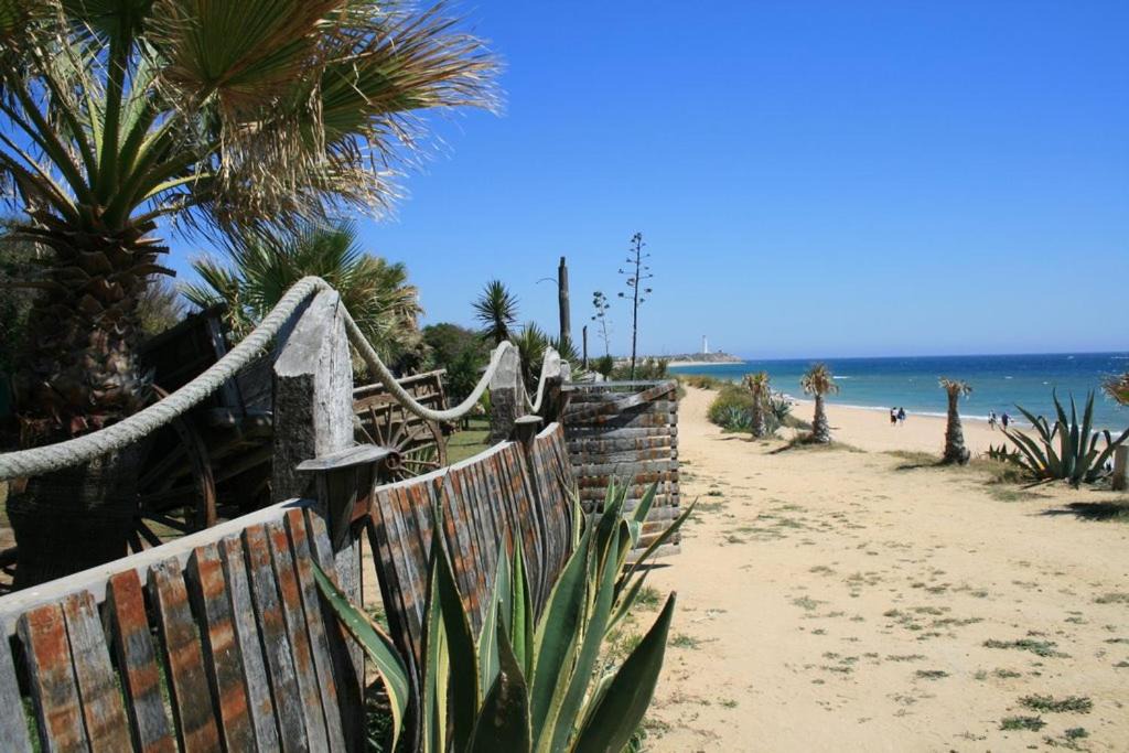 Photo of Others in Brena y Marismas de Barbate Natural Park