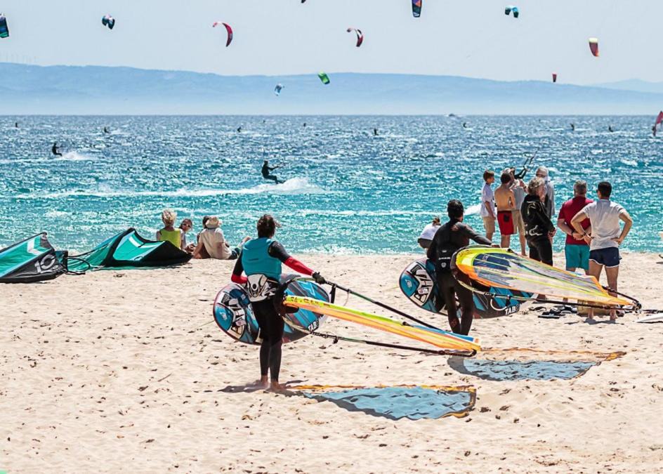 Photo of Others in Brena y Marismas de Barbate Natural Park