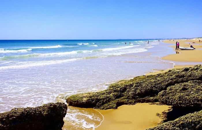 Photo of Human In Picture in Brena y Marismas de Barbate Natural Park