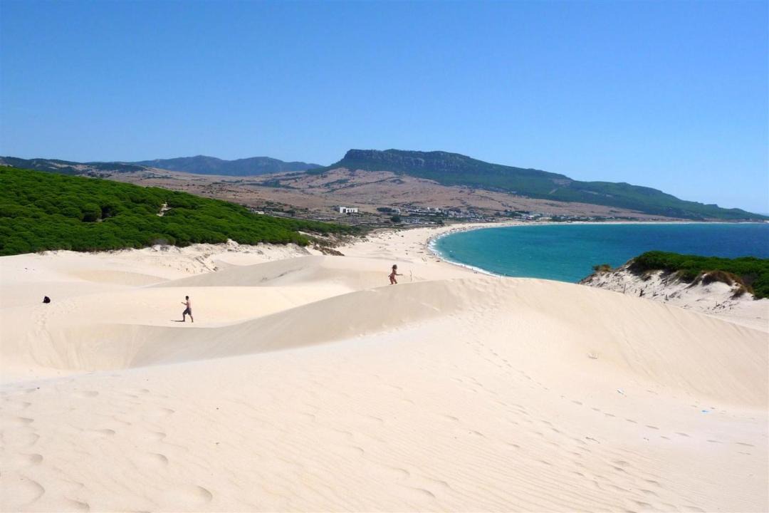 Photo of Others in Brena y Marismas de Barbate Natural Park