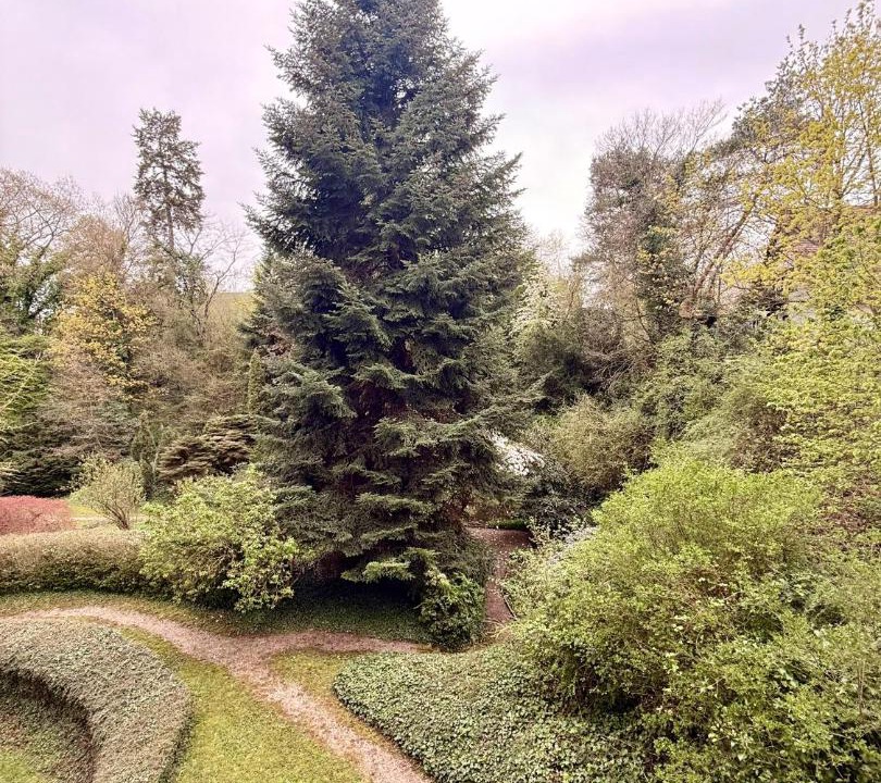 Photo of Others in Pforzheim