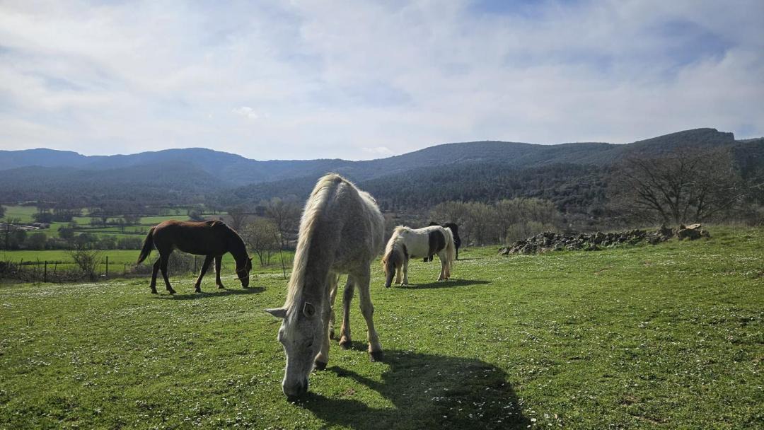 Photo of Others in Tobera