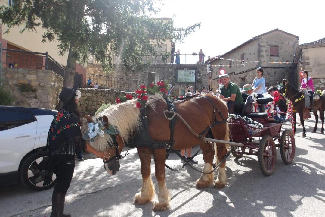 Photo of Others in Tobera
