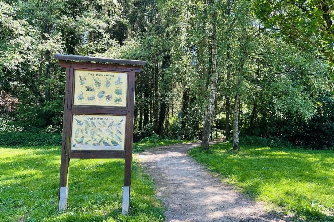 Photo of Others in Sundern-Allendorf