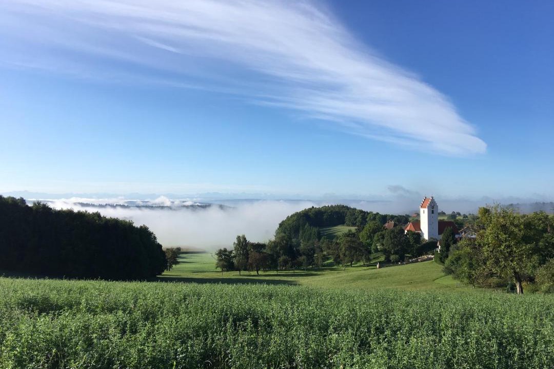 Photo of Others in Eigeltingen