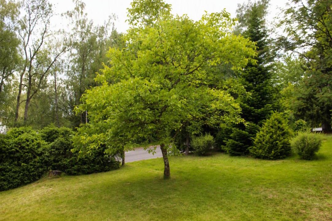 Photo of Others in Kattersdorf