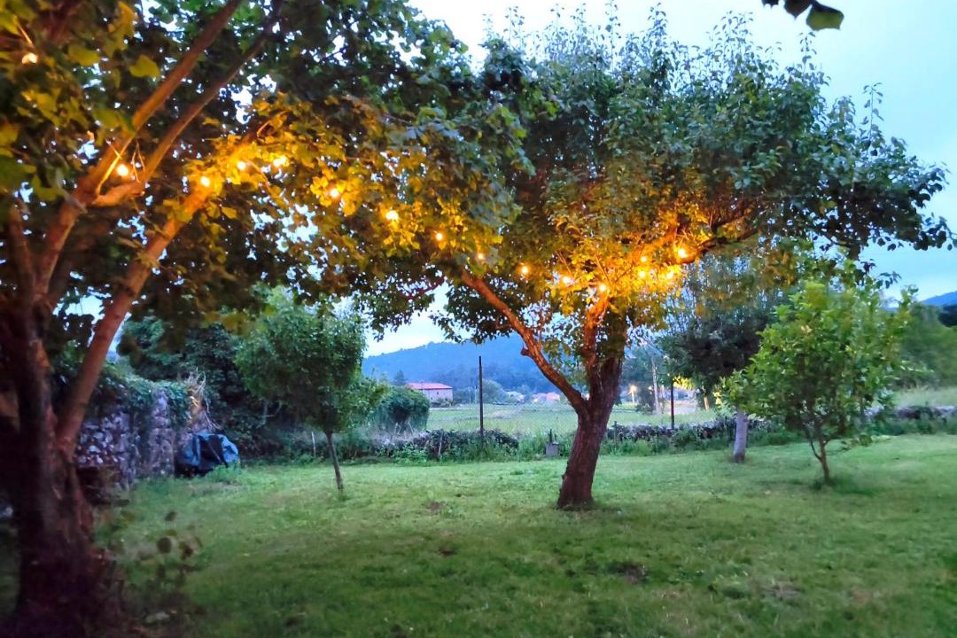 Photo of Others in Solorzano
