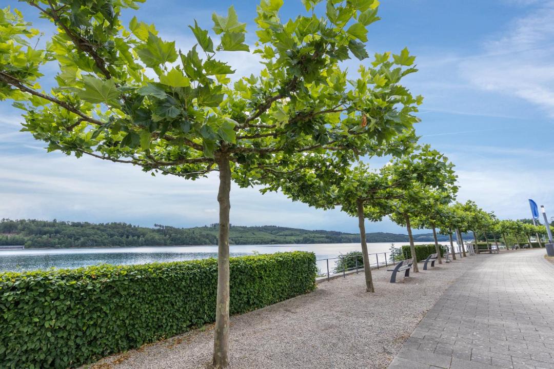 Photo of Outdoor in Langscheid