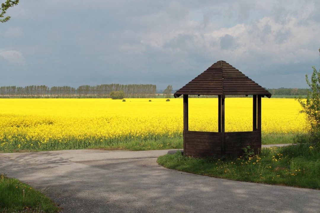 Photo of Others in Steffenshagen
