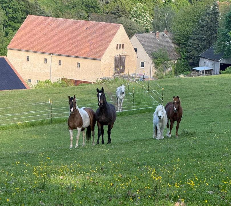 Photo of Others in Glashuette