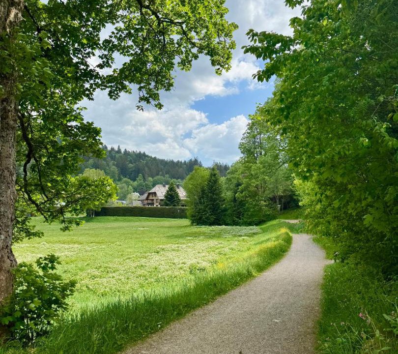 Photo of Others in Hinterzarten