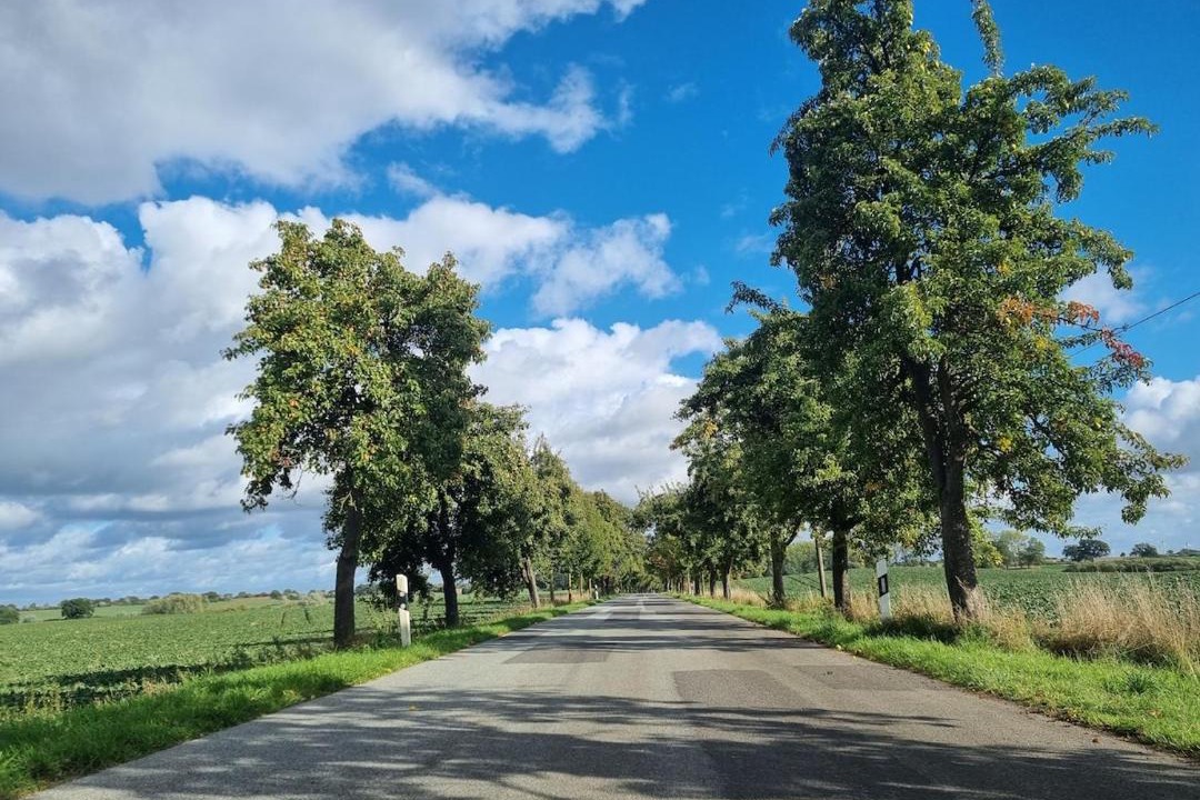 Photo of Others in Lubstorf