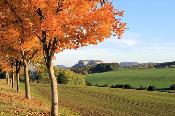 Photo of Others in Koenigstein