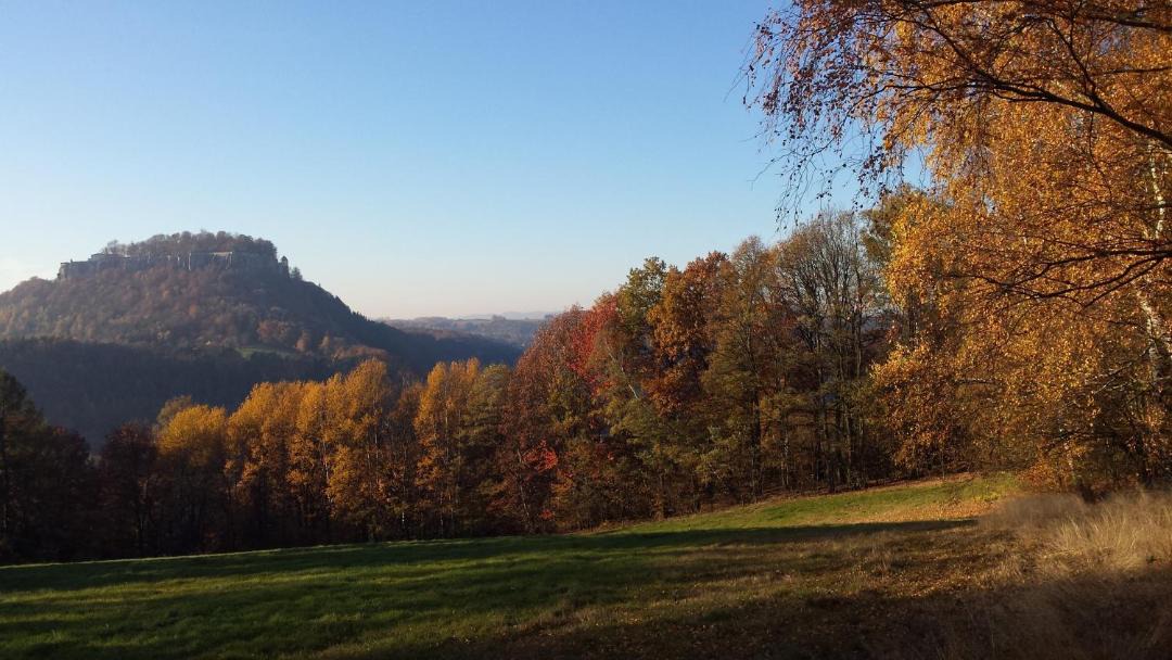 Photo of Others in Koenigstein