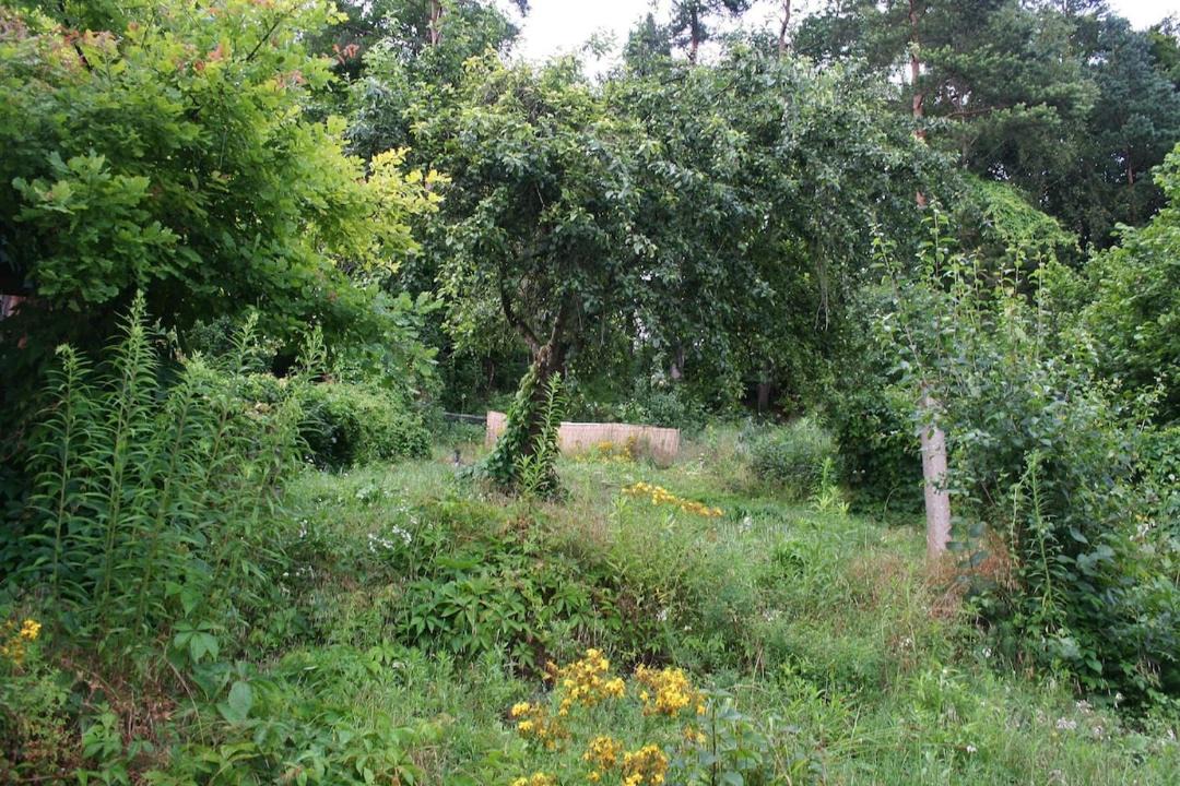 Photo of Others in Goessweinstein
