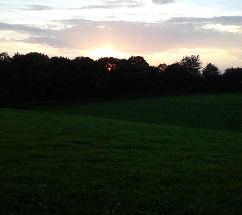 Photo of Others in Frankldorf