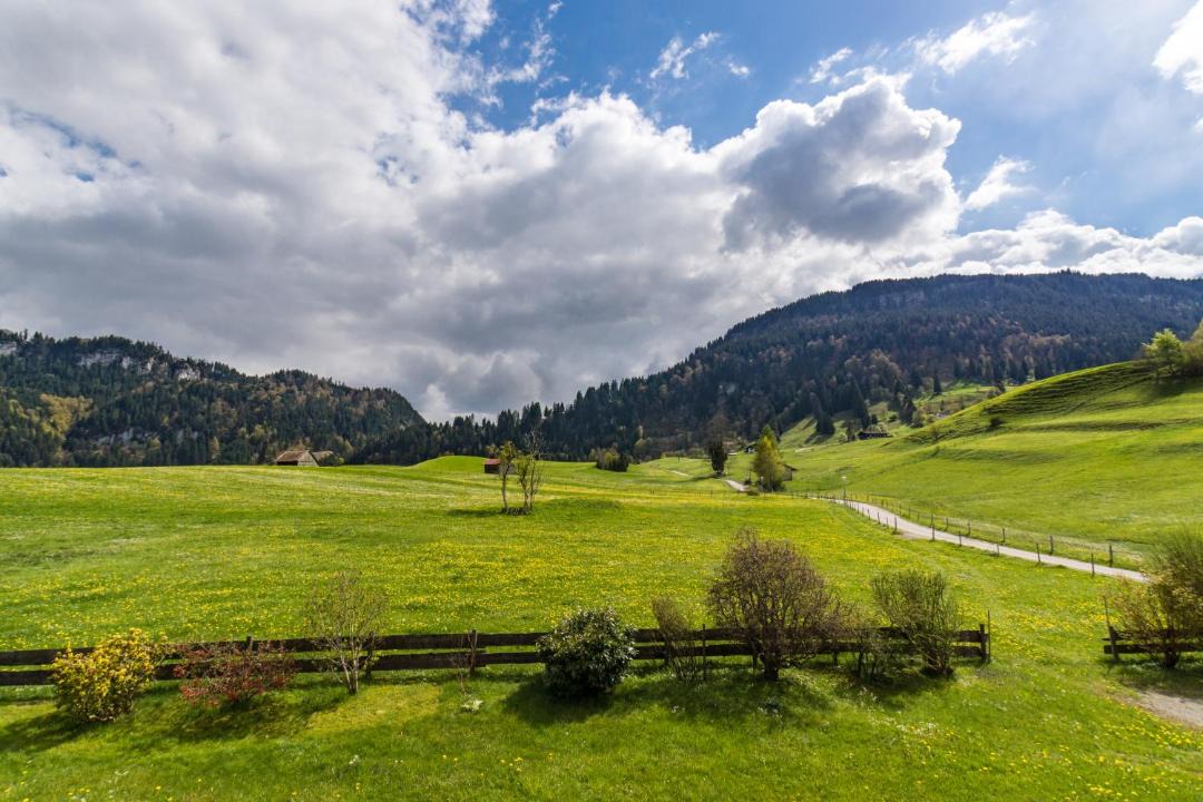Photo of Others in Obermaiselstein
