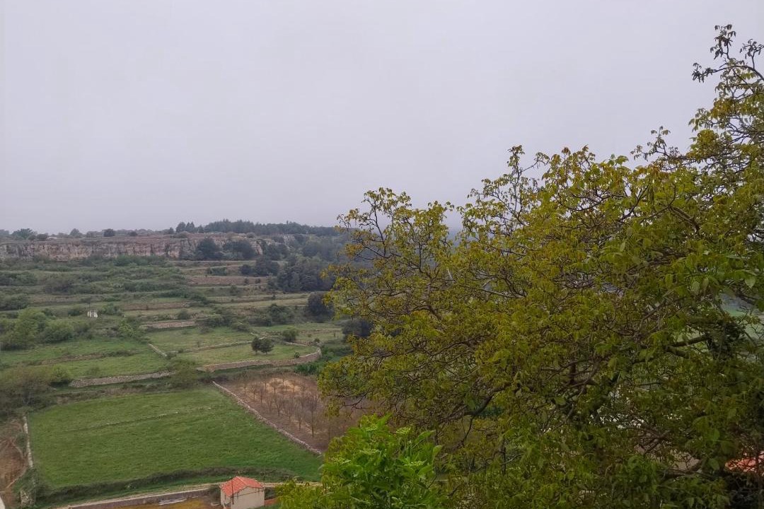 Photo of Others in Vilafranca