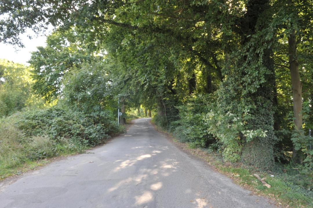 Photo of Others in Heringsdorf