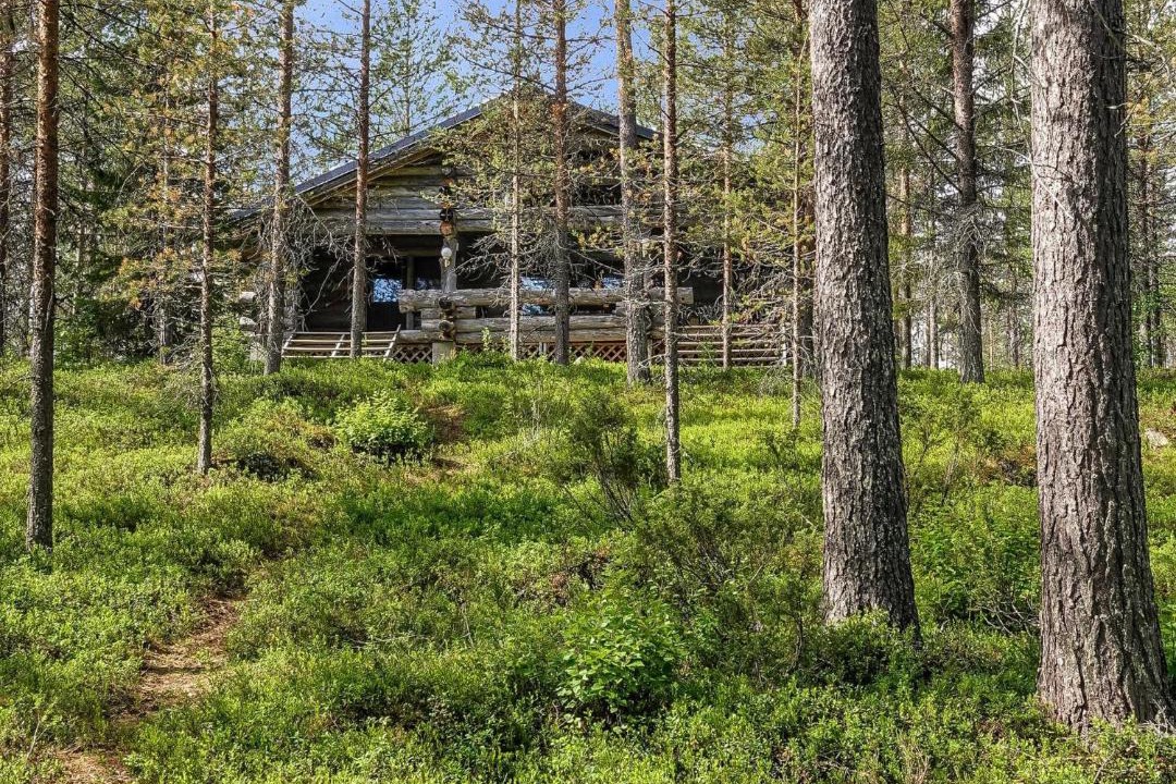 Photo of Others in Rovaniemi