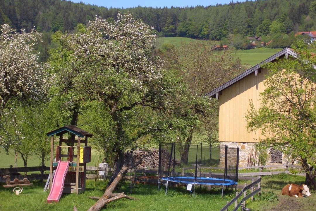 Photo of Others in Kleinhogl
