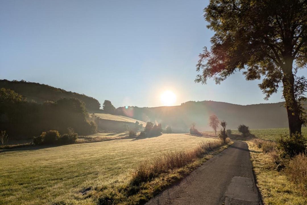 Photo of Others in Sundern-Allendorf