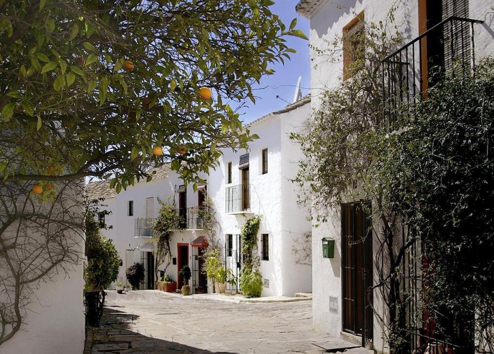Photo of Others in Marbella