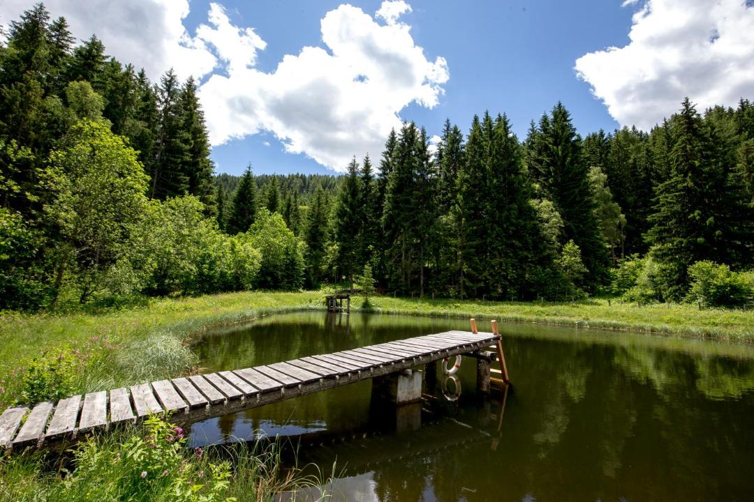 Photo of Others in Laßnitz bei Murau