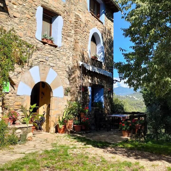 Photo of Others in Mediano