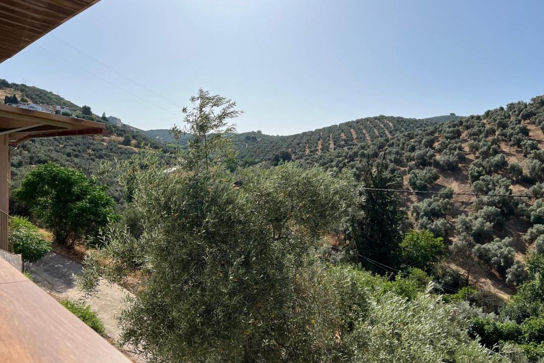 Photo of Others in Villanueva de Algaidas