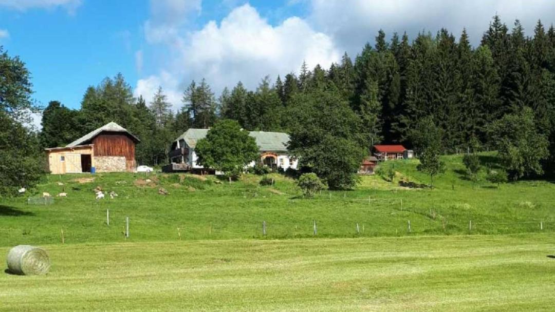 Photo of Others in Bayerisch Eisenstein
