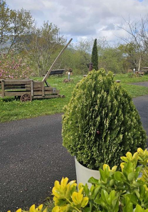 Photo of Outdoor in Sopuerta