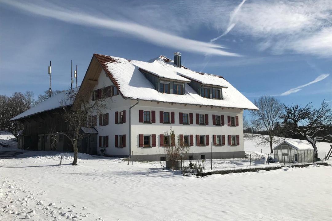 Photo of Others in Wangen im Allgaeu