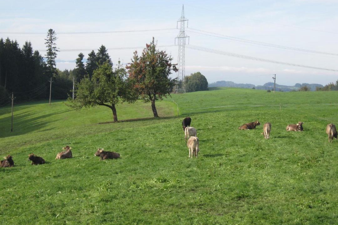 Photo of Others in Opfenbach