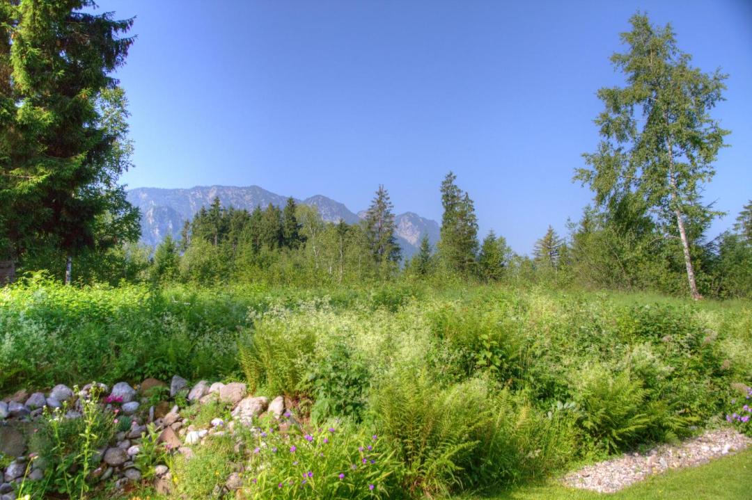 Photo of Others in Inzell