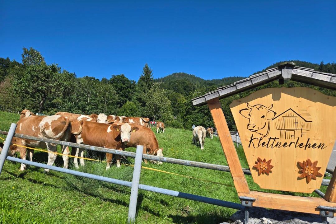 Photo of Others in Ramsau bei Berchtesgaden