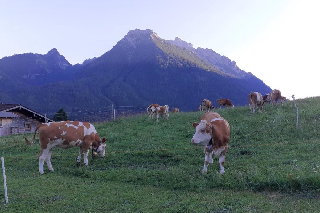 Photo of Others in Ramsau bei Berchtesgaden