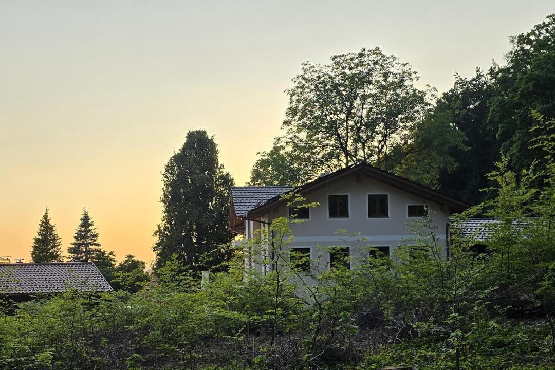 Photo of Others in Winkl