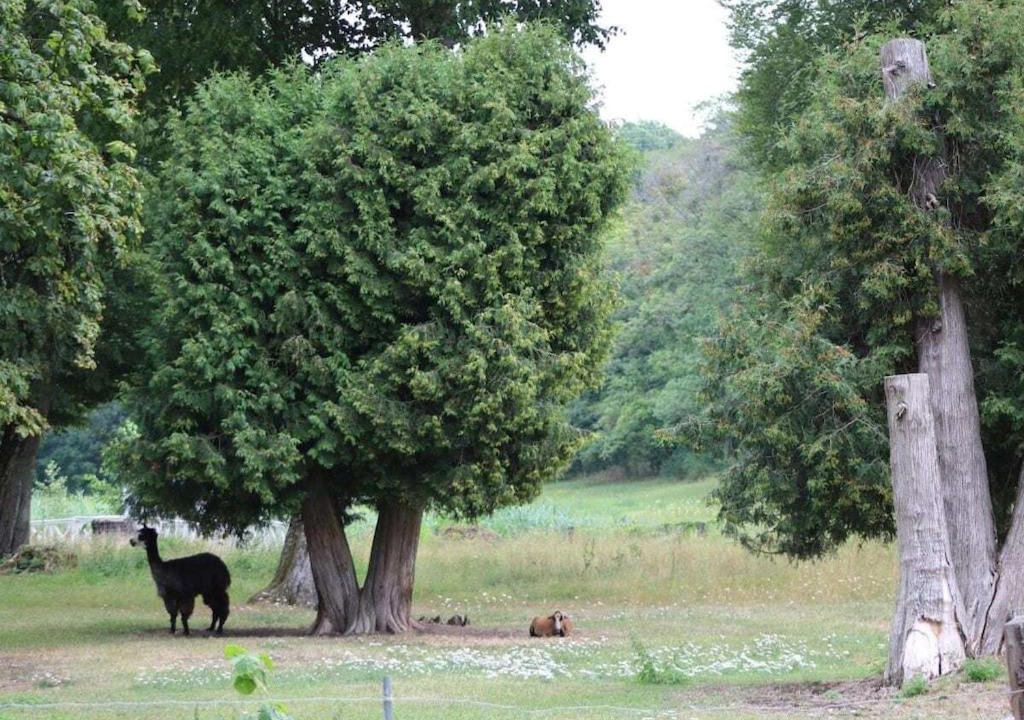 Photo of Others in Maroldsweisach