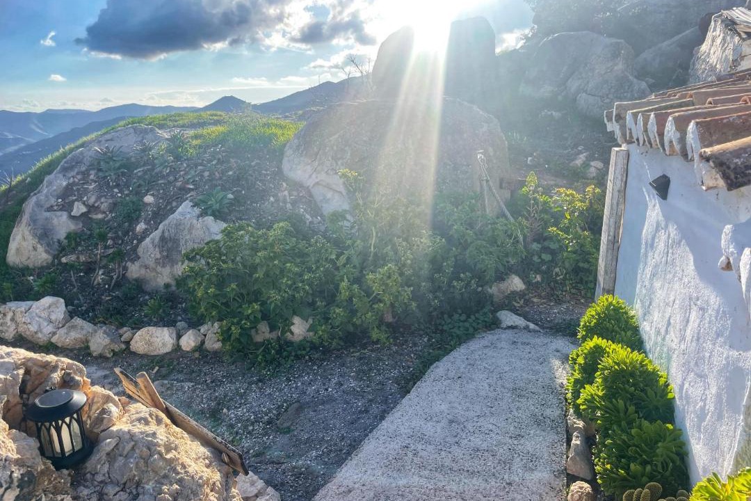 Photo of Others in Comares