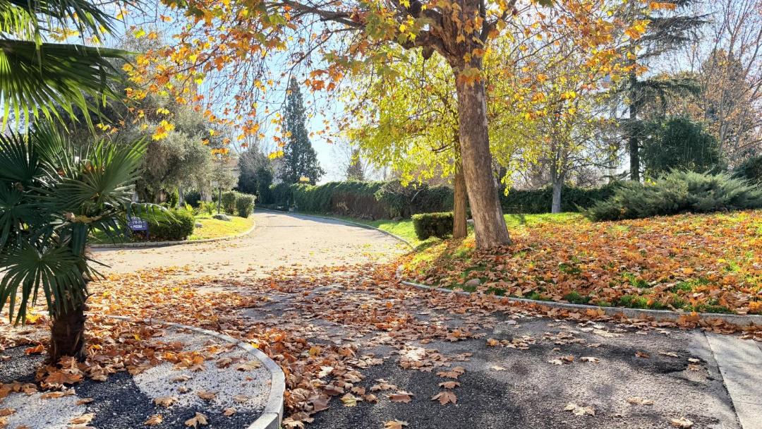 Photo of Outdoor in Getafe