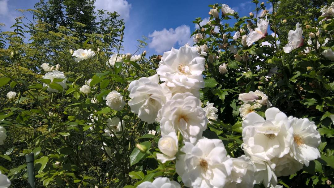 Photo of Outdoor in Iphofen