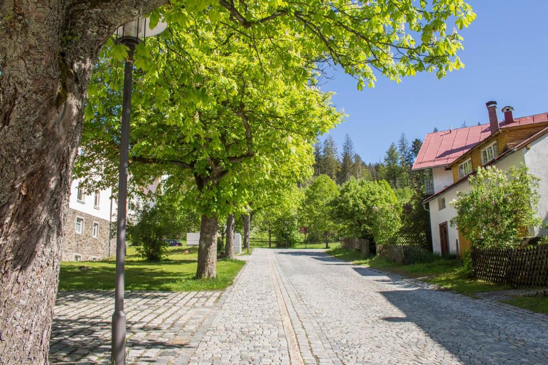 Photo of Others in Bayerisch Eisenstein