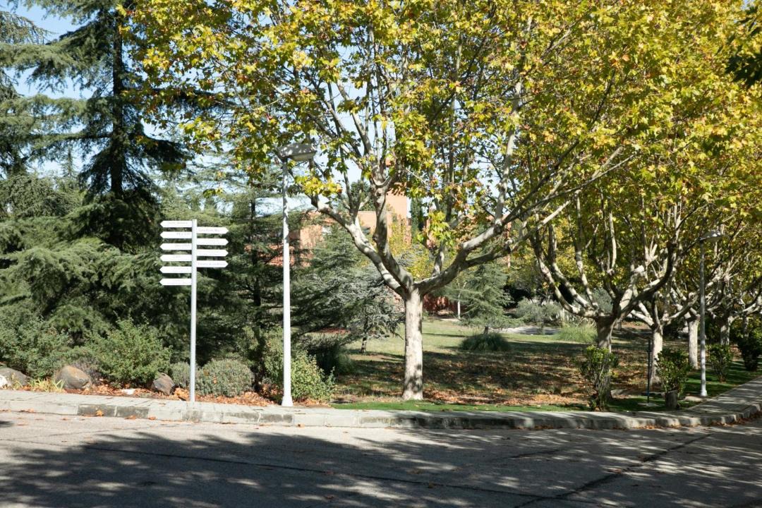 Photo of Others in Pozuelo de Alarcon