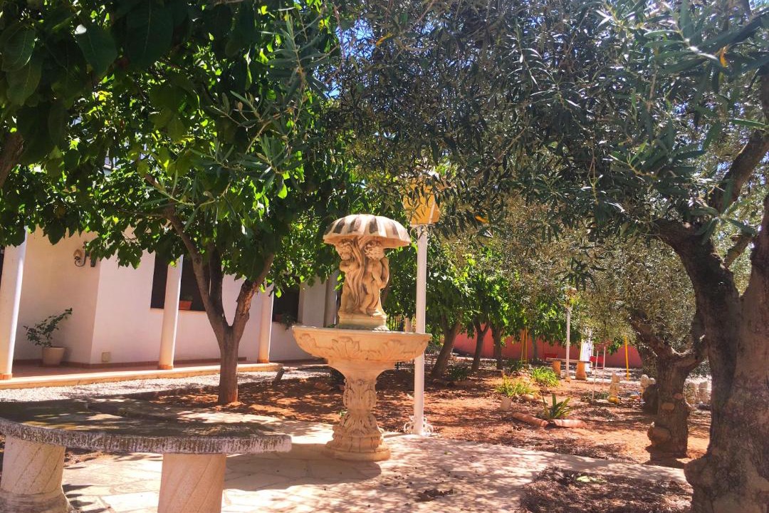 Photo of Others in Ulldecona