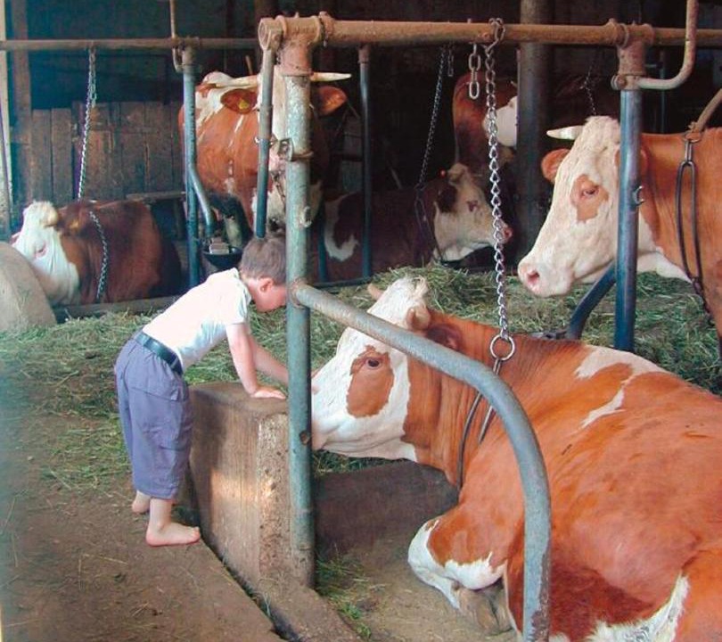 Photo of Others in Maibrunn