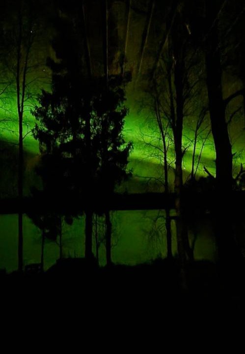 Photo of Others in Rovaniemi