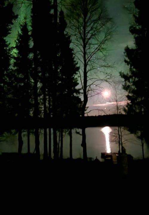 Photo of Others in Rovaniemi