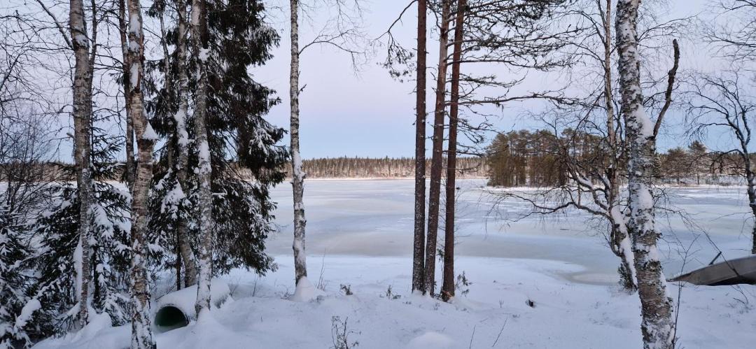 Photo of Others in Rovaniemi